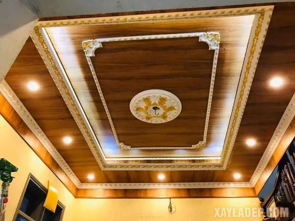 mau-tran-nhua-dep-nhat-2